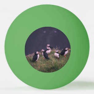 Atlantische Puffen Tischtennisball
