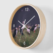 Atlantische Puffen Uhr (Winkel)