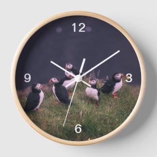 Atlantische Puffen Uhr
