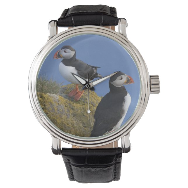 Atlantische Puffins (Fatercula arctica) auf dem Fe Armbanduhr (Vorderseite)