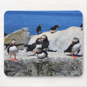 Atlantische Puffins in Machias Siegel-Insel Mousepad