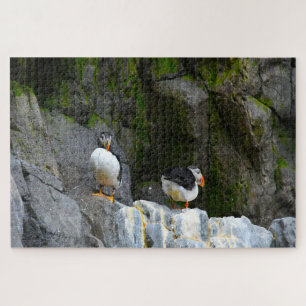 Atlantische Puffins. Puzzle