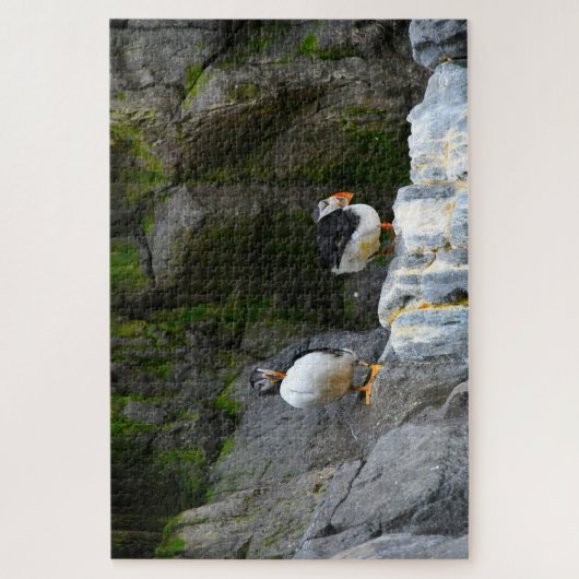 Atlantische Puffins. Puzzle (Vertikal)