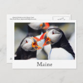Atlantische Puffnküste Postkarte (Vorne/Hinten)