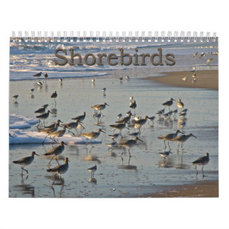 Atlantische Shorebirds Kalender