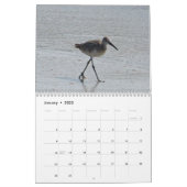Atlantische Shorebirds Kalender (Jan 2022)