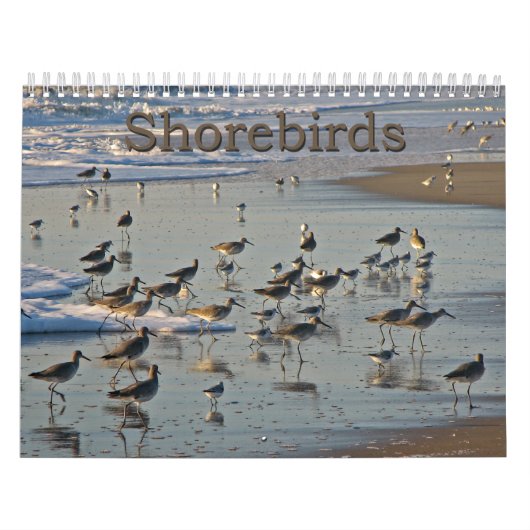 Atlantische Shorebirds Kalender (Titelbild)