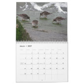 Atlantische Shorebirds Kalender (Mär 2027)