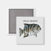 Atlantische Spinne Magnet (Vorderseite/Rückseite)