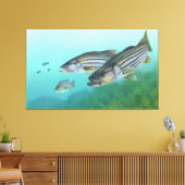 Atlantischer Bassfisch Morone Saxatilis Leinwanddruck (Insitu (Wohnzimmer))