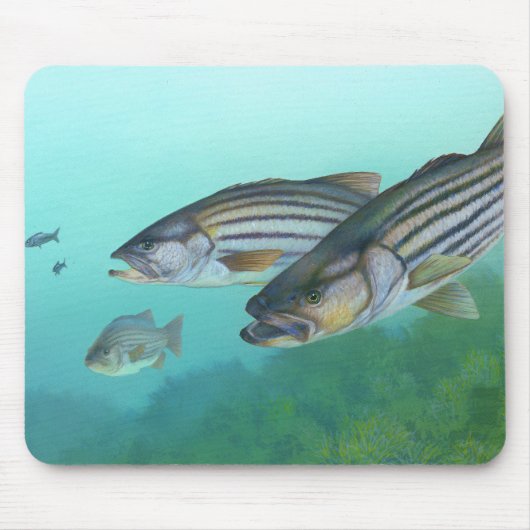 Atlantischer gestreifter Bass-FischeMorone Mousepad (Vorne)
