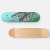 Atlantischer gestreifter Bass-FischeMorone Skateboard (Horizontal)