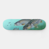 Atlantischer gestreifter Bass-FischeMorone Skateboard (Horizontal)