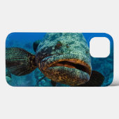 Atlantischer Goliath-Barsch Case-Mate iPhone Hülle (Rückseite (Horizontal))