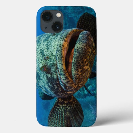 Atlantischer Goliath-Barsch Case-Mate iPhone Hülle (Rückseite)