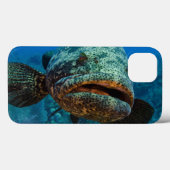 Atlantischer Goliath-Barsch Case-Mate iPhone Hülle (Rückseite (Horizontal))