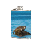 Atlantischer Hafenrobbe Flachmann (Links)
