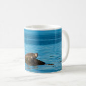 Atlantischer Hafenrobbe Kaffeetasse (VorderseiteRechts)