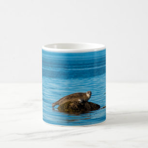 Atlantischer Hafenrobbe Kaffeetasse