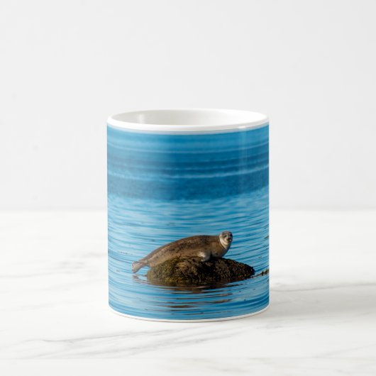 Atlantischer Hafenrobbe Kaffeetasse (Mittel)