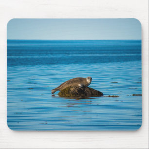Atlantischer Hafenrobbe Mousepad