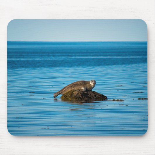 Atlantischer Hafenrobbe Mousepad (Vorne)
