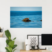 Atlantischer Hafenrobbe Poster (Heimbüro)