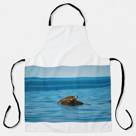 Atlantischer Hafenrobbe Schürze (Vorderseite)