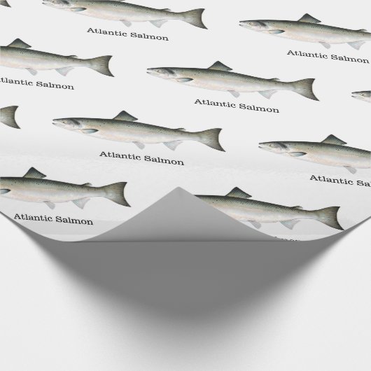 Atlantischer Lachs fischt Muster Geschenkpapier (Ecke)