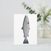 Atlantischer Lachs - Phase des Ozeans Postkarte (Stehend Vorderseite)