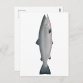 Atlantischer Lachs - Phase des Ozeans Postkarte (Vorne/Hinten)