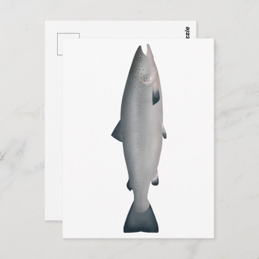 Atlantischer Lachs - Phase des Ozeans Postkarte (Vorne/Hinten)