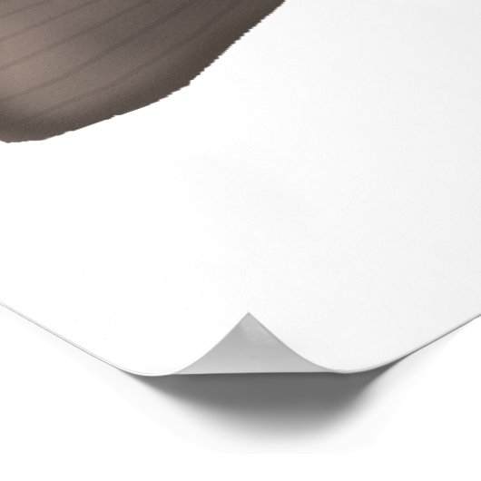 Atlantischer Lachs - Phasen des Ozeans und des Lai Poster (Ecke)