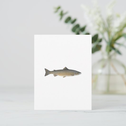 Atlantischer Lachs Postkarte (Stehend Vorderseite)
