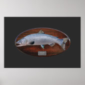 Atlantischer Lachs Trophy Display Plaque Poster (Vorne)