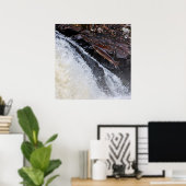 Atlantischer Lachslachs Poster (Heimbüro)