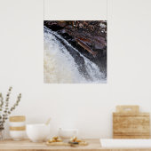 Atlantischer Lachslachs Poster (Küche)