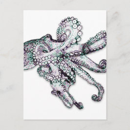 Atlantischer Oktopus Postkarte