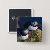 Atlantischer Papageitaucher (Fratercula arctica) 7 Button (Vorne & Hinten)