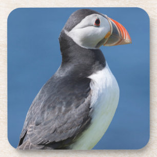 Atlantischer Papageitaucher (Fratercula Arctica) a Getränkeuntersetzer