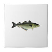 Atlantischer Pollock Fliese (Vorderseite)