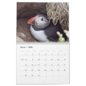 Atlantischer Puffin-Kalender 2021 Kalender (Mär 2026)