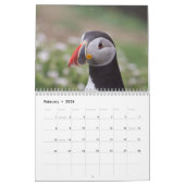 Atlantischer Puffin-Kalender 2021 Kalender (Feb 2026)