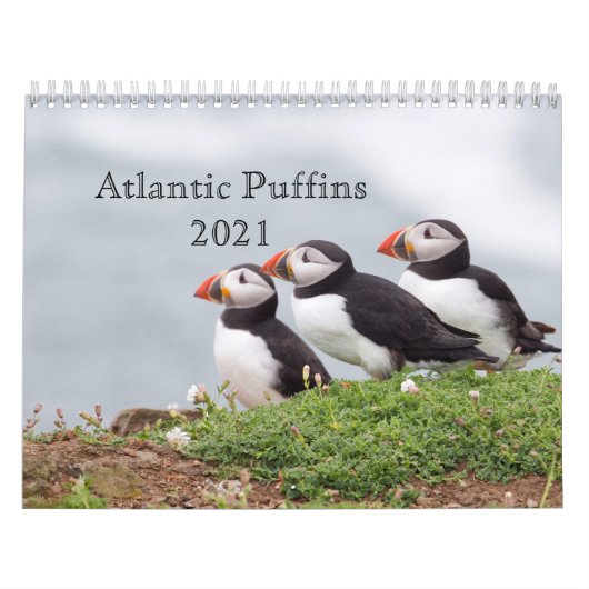 Atlantischer Puffin-Kalender 2021 Kalender (Titelbild)
