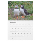 Atlantischer Puffin-Kalender 2021 Kalender (Jan 2027)