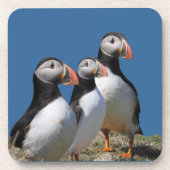 Atlantischer Puffin-Korken-Untersetzer Getränkeuntersetzer (Vorderseite)