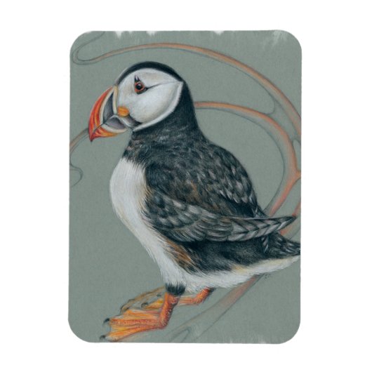 Atlantischer Puffsänger Art Zeichnend Magnet (Vertikal)