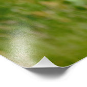 Atlantischer Puffvogel Fotodruck (Ecke)