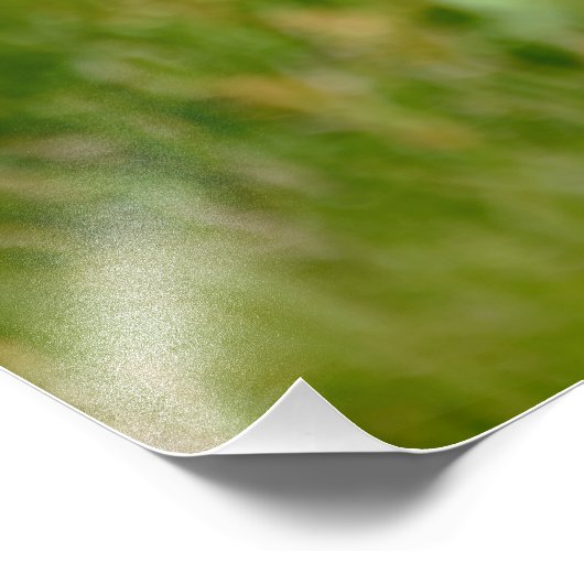 Atlantischer Puffvogel Fotodruck (Ecke)