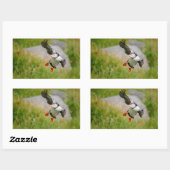 Atlantischer Puffvogel mit rechteckigem Aufkleber (Blatt)